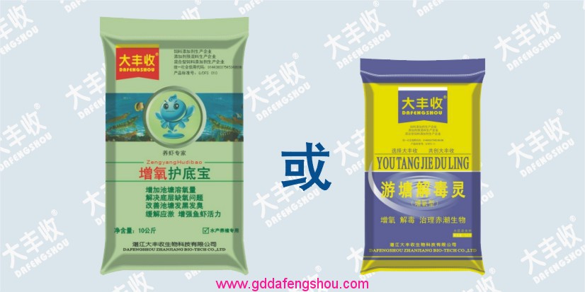 大豐收-網站專用-養(yǎng)殖模式-126養(yǎng)蝦模式-對蝦34-20191231.jpg