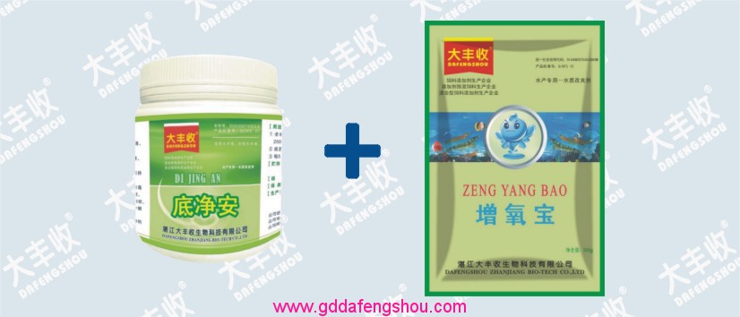 大豐收-網站專用-養(yǎng)殖模式-126養(yǎng)蝦模式-對蝦35-20191231.jpg