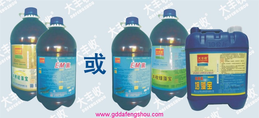 大豐收-網站專用-養(yǎng)殖模式-126養(yǎng)蝦模式-對蝦43-20191231.jpg