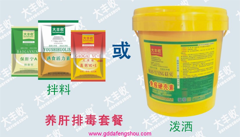 大豐收-網站專用-養(yǎng)殖模式-126養(yǎng)蝦模式-對蝦57-20191231.jpg